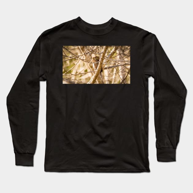 Pygmy Owl Perched in a Tree Long Sleeve T-Shirt by JeffreySchwartz